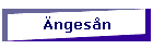 ngesn