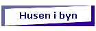 Husen i byn
