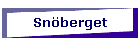Snberget